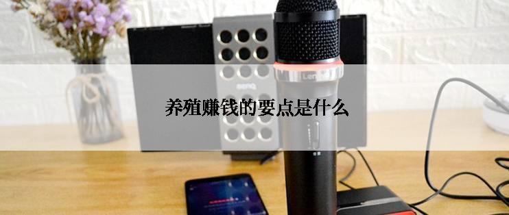  养殖赚钱的要点是什么
