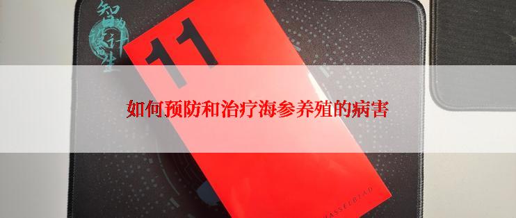 如何预防和治疗海参养殖的病害