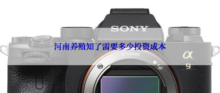 河南养殖知了需要多少投资成本