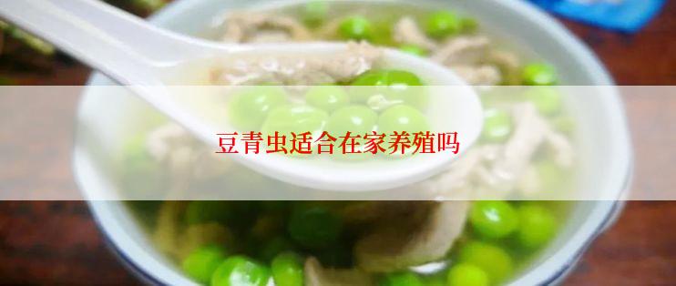 豆青虫适合在家养殖吗