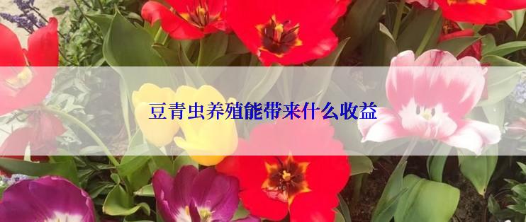 豆青虫养殖能带来什么收益