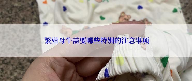  繁殖母牛需要哪些特别的注意事项