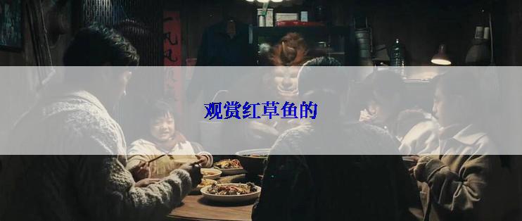 观赏红草鱼的