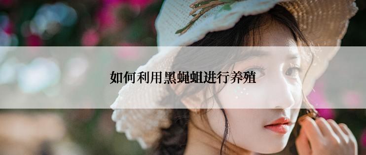 如何利用黑蝇蛆进行养殖