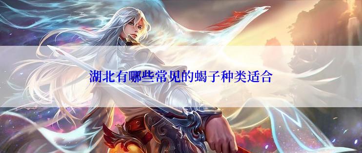 湖北有哪些常见的蝎子种类适合