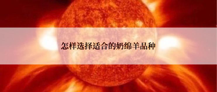 怎样选择适合的奶绵羊品种