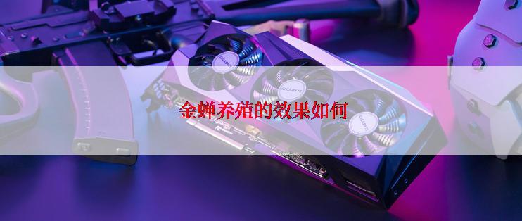  金蝉养殖的效果如何