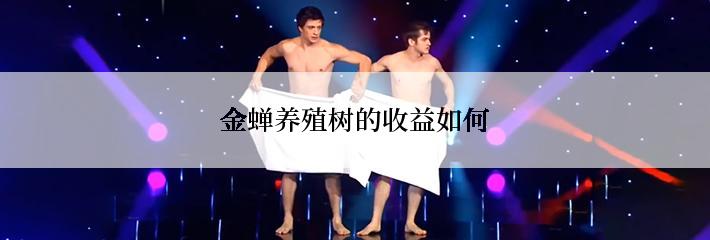 金蝉养殖树的收益如何