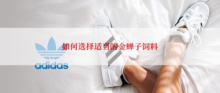 如何选择适当的金蝉子饲料