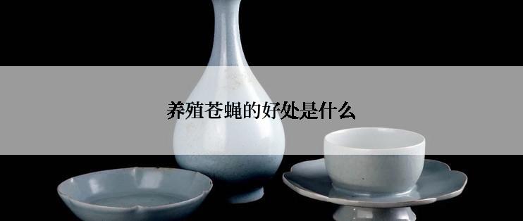 养殖苍蝇的好处是什么