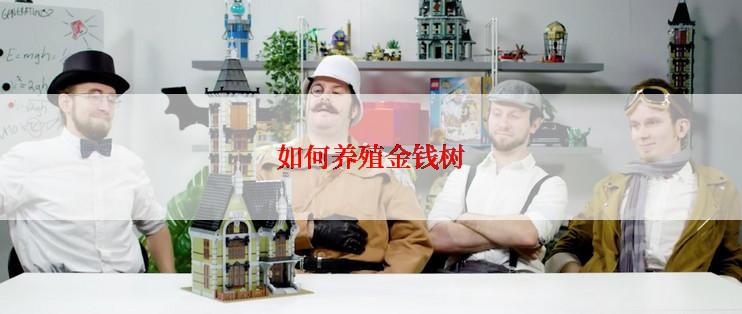如何养殖金钱树