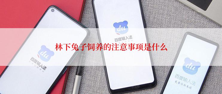 林下兔子饲养的注意事项是什么