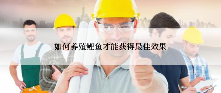 如何养殖鲤鱼才能获得最佳效果