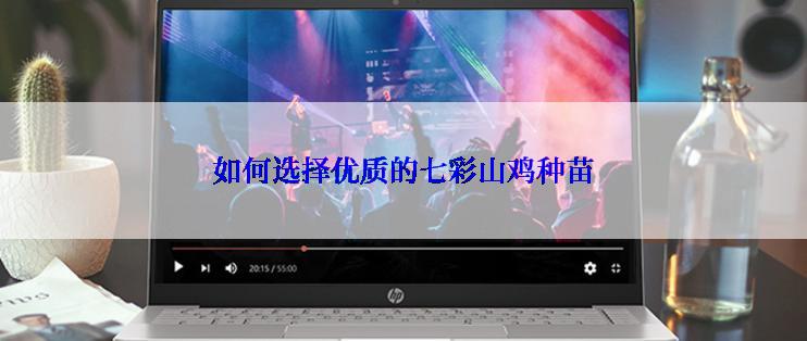 如何选择优质的七彩山鸡种苗