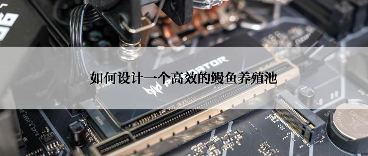 如何设计一个高效的鳗鱼养殖池