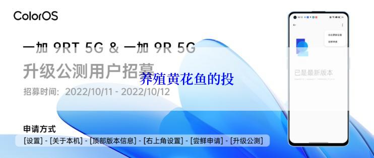 养殖黄花鱼的投