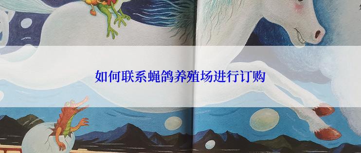 如何联系蝇鸽养殖场进行订购