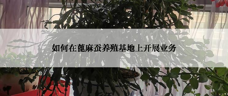 如何在蓖麻蚕养殖基地上开展业务