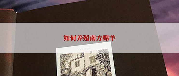 如何养殖南方绵羊