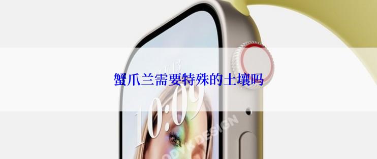 蟹爪兰需要特殊的土壤吗