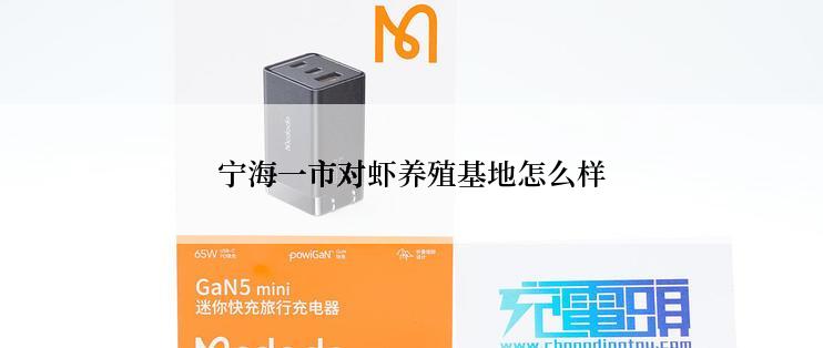 宁海一市对虾养殖基地怎么样