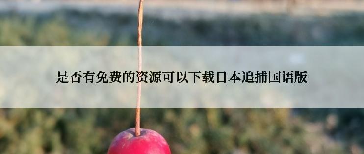 是否有免费的资源可以下载日本追捕国语版