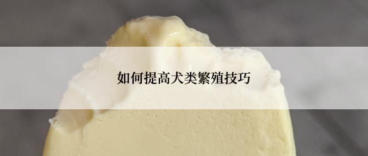 如何提高犬类繁殖技巧