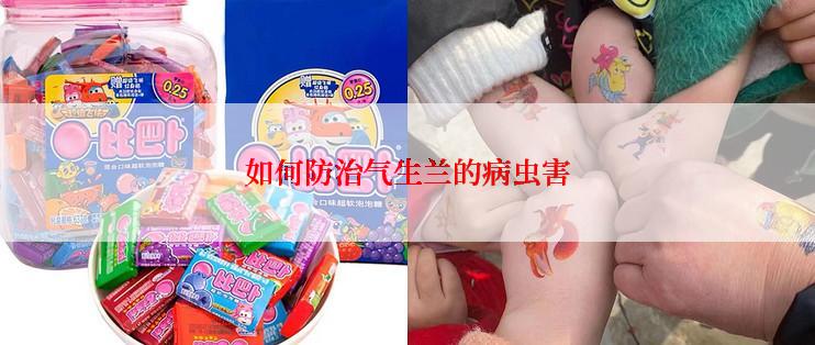 如何防治气生兰的病虫害