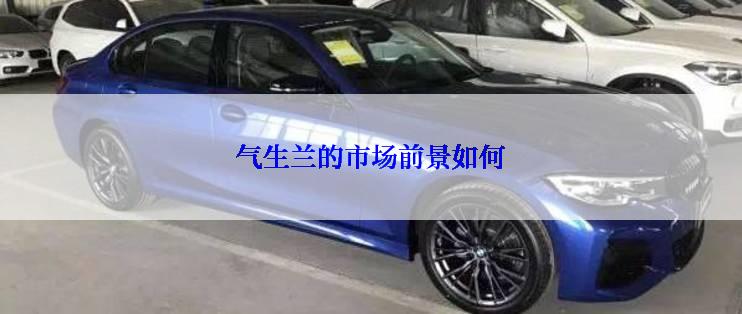 气生兰的市场前景如何