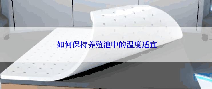  如何保持养殖池中的温度适宜