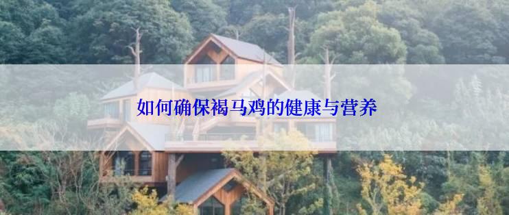  如何确保褐马鸡的健康与营养