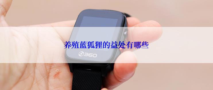 养殖蓝狐狸的益处有哪些