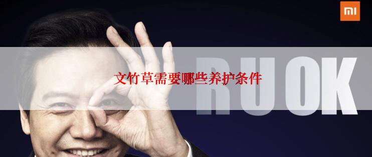  文竹草需要哪些养护条件