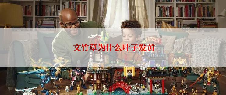  文竹草为什么叶子发黄