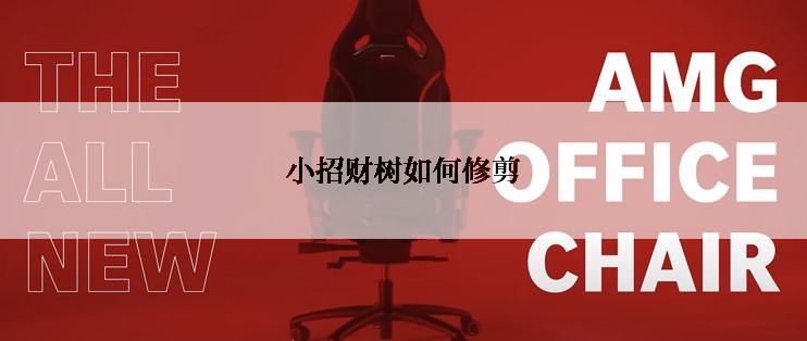 小招财树如何修剪