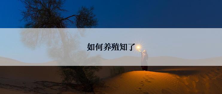 如何养殖知了