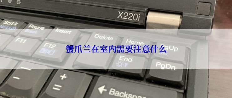 蟹爪兰在室内需要注意什么