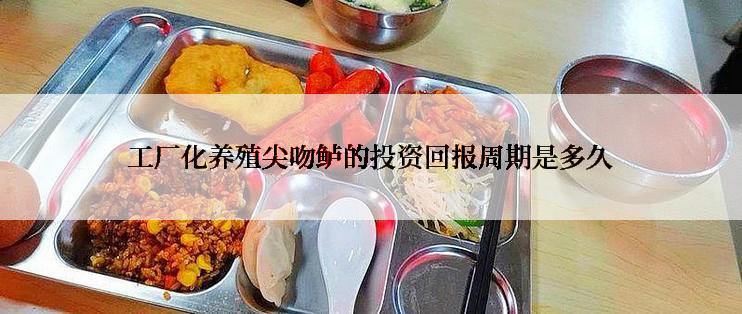工厂化养殖尖吻鲈的投资回报周期是多久