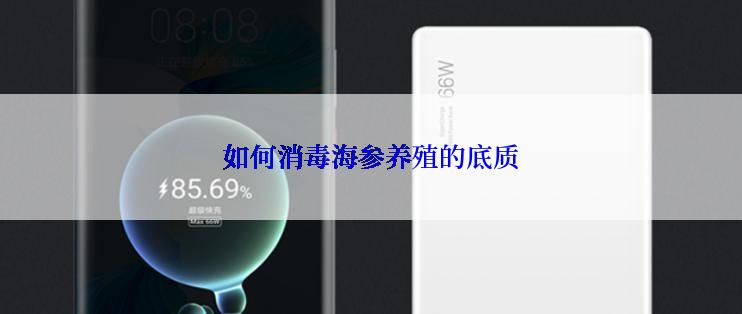 如何消毒海参养殖的底质