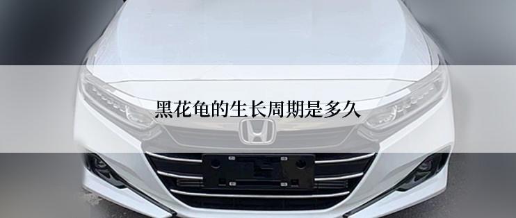 黑花龟的生长周期是多久