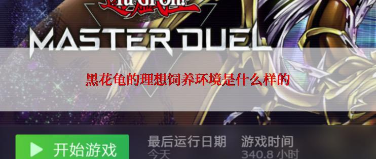 黑花龟的理想饲养环境是什么样的