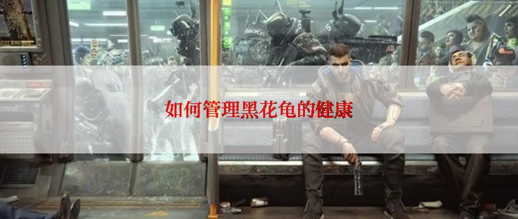 如何管理黑花龟的健康