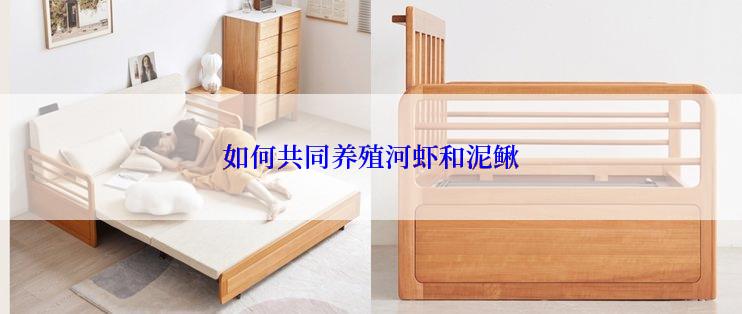 如何共同养殖河虾和泥鳅