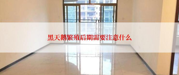 黑天鹅繁殖后期需要注意什么