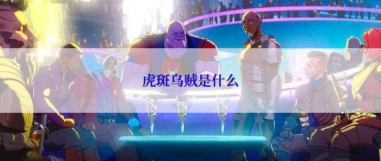 虎斑乌贼是什么