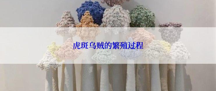 虎斑乌贼的繁殖过程