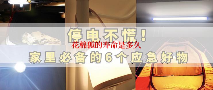 花棉狐的寿命是多久