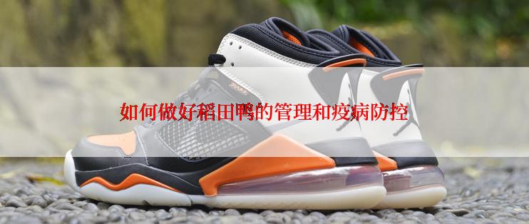 如何做好稻田鸭的管理和疫病防控