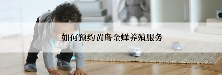  如何预约黄岛金蝉养殖服务