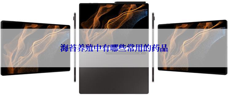 海苔养殖中有哪些常用的药品